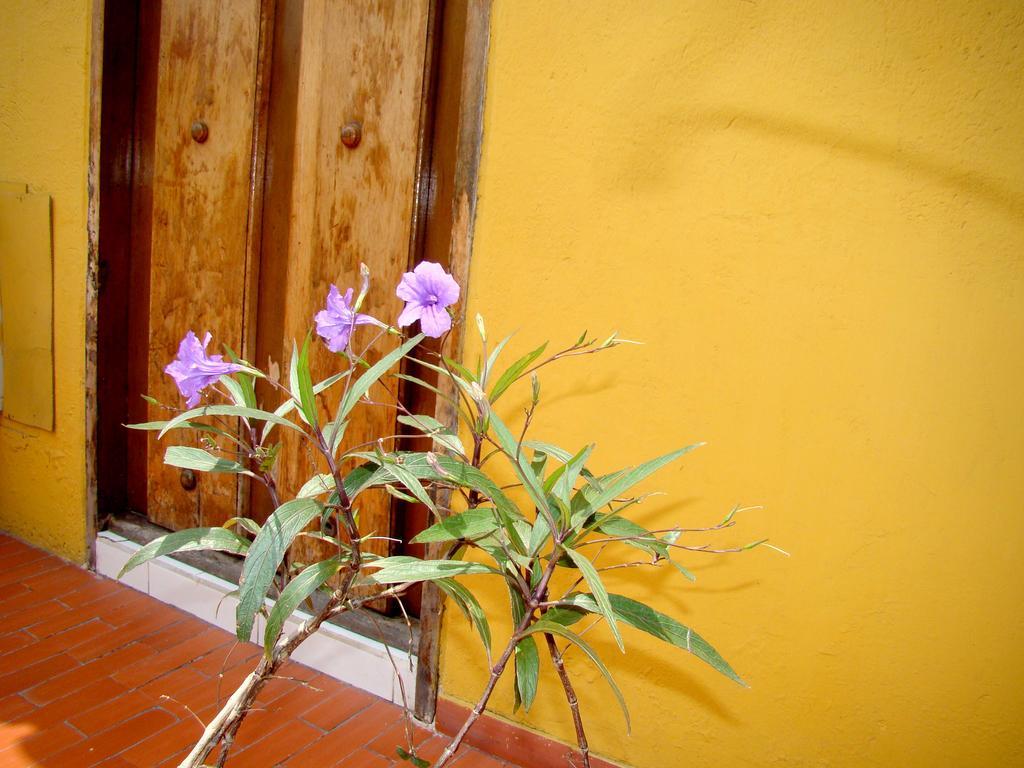 Hotel Casa Vieja Santa Marta  Ngoại thất bức ảnh